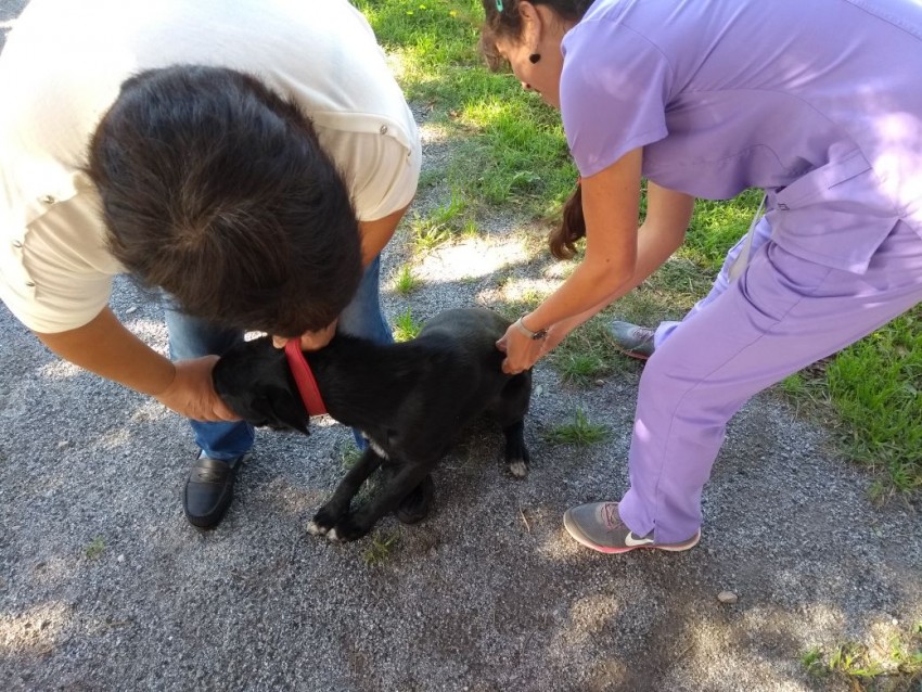 vacunacion en macedo