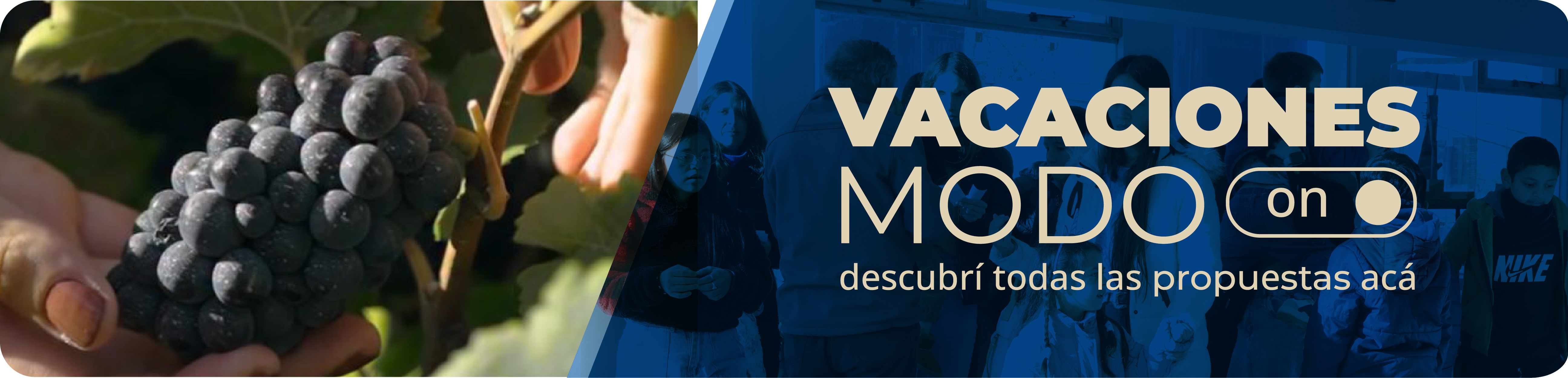 Vacaciones modo on