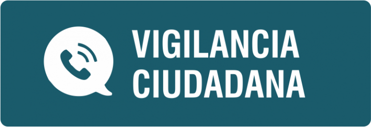 vigilancia ciudadana