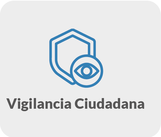 Vigilancia ciudadana